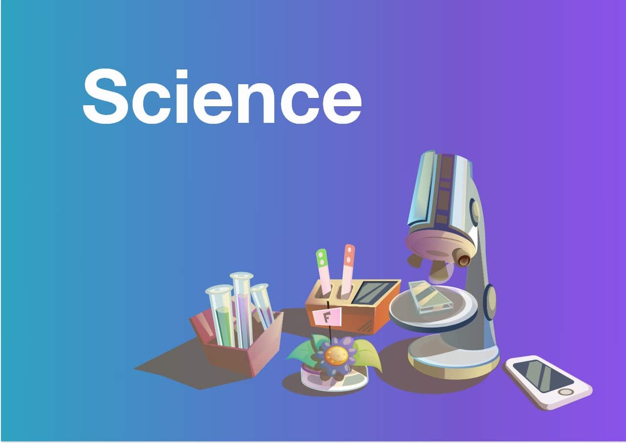 Science – Level 3